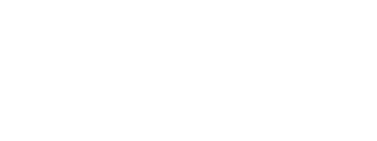 Laboratorio de Desarrollo en Neurociencias Cognitivas