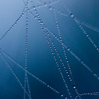 Navigating the Affordance Landscape: