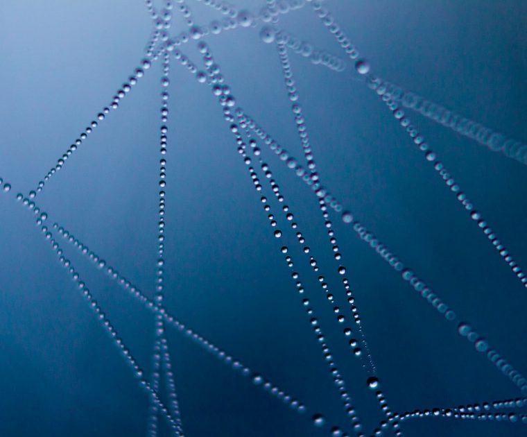 Navigating the Affordance Landscape: