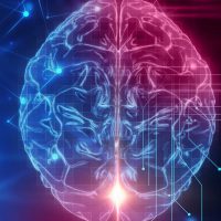 The free-energy principle: a unified brain theory?