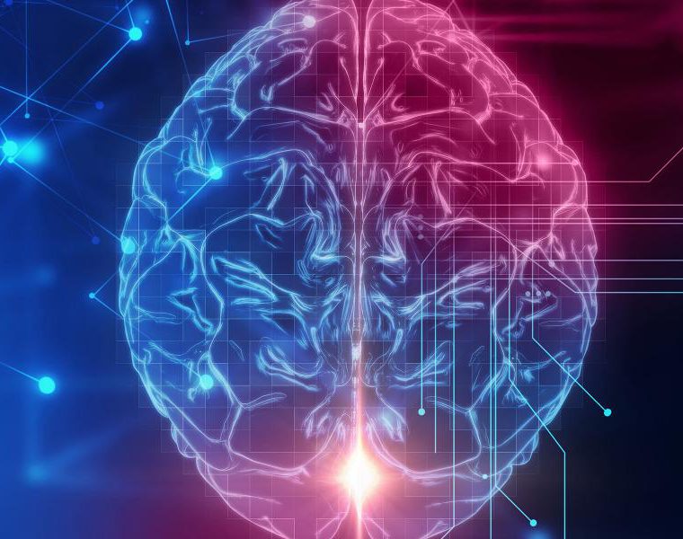 The free-energy principle: a unified brain theory?