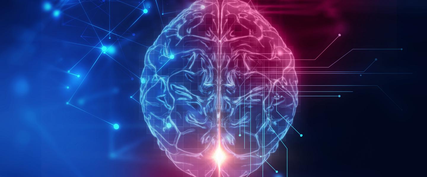 The free-energy principle: a unified brain theory?